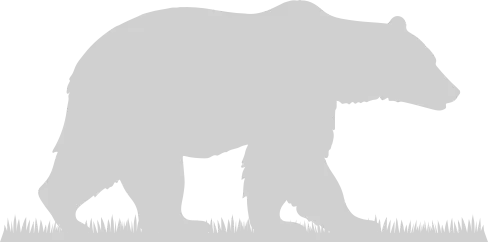 Une silhouette d’ours marchant sur l’herbe.