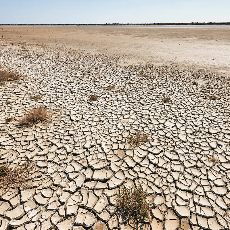 Un sol craquelé et desséché.