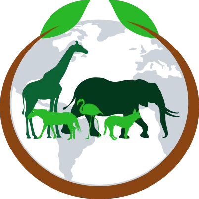 Des silhouettes d’animaux du monde dans différentes teintes de vert superposées à une illustration grisée de la Terre. Une branche ronde munie de feuilles aux extrémités les entoure.