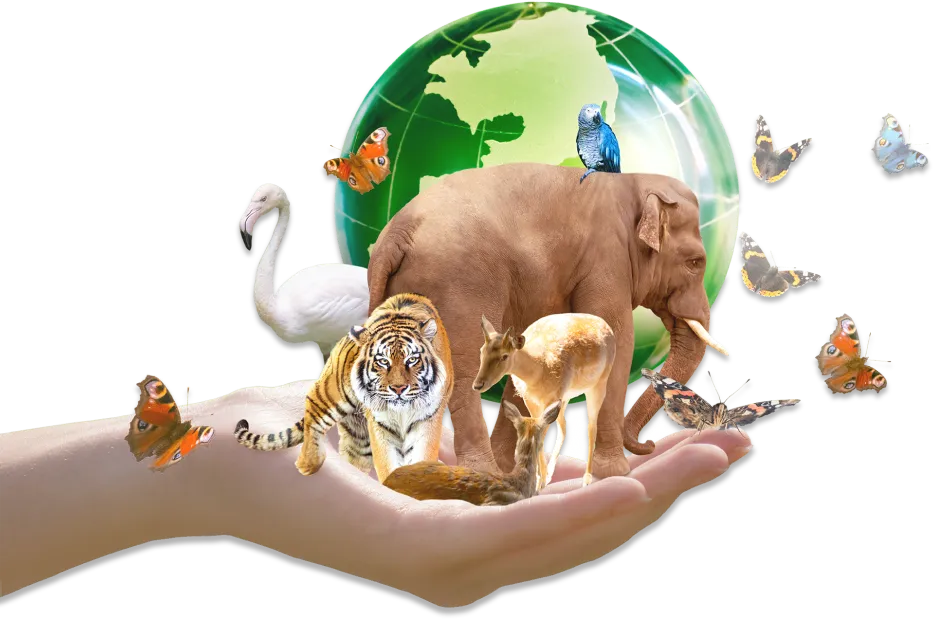 Une main en coupe soutenant une planète Terre autour de laquelle gravitent différents animaux du monde.