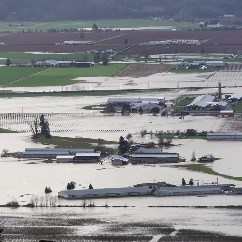 Une grave inondation envahissant des bâtiments agricoles.