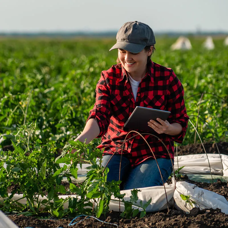 Une agricultrice munie d’une tablette électronique, agenouillée dans un vaste potager verdoyant.