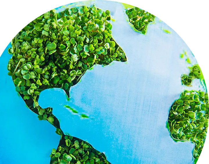 Un globe terrestre dont les continents sont tapissés de pousses de plantes.